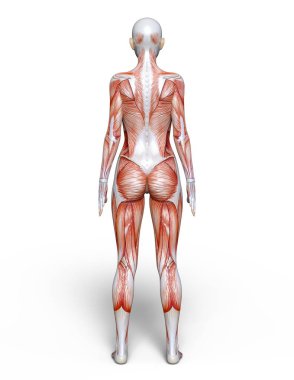 bir lay şekil 3d cg render.