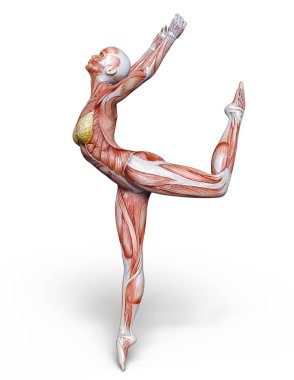 bir lay şekil 3d cg render.