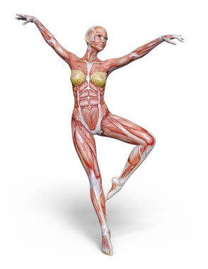 bir lay şekil 3d cg render.