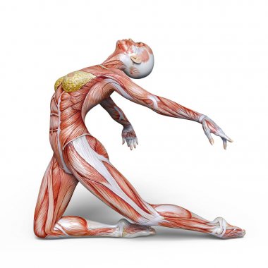 bir lay şekil 3d cg render.