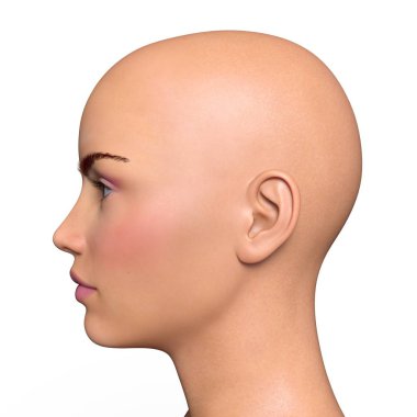 bir genç kadın yüz 3d cg işleme.