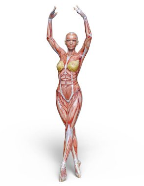 bir lay şekil 3d cg render.