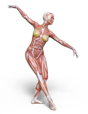 bir lay şekil 3d cg render.