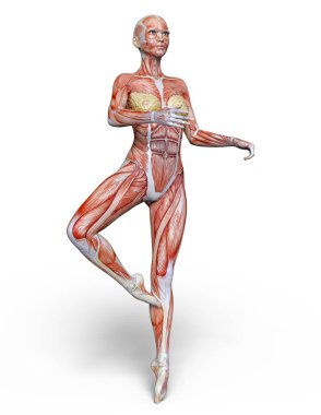 bir lay şekil 3d cg render.