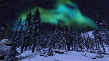 3d cg işleme karlı alanının.