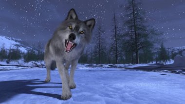 3d cg işleme bir kurt.