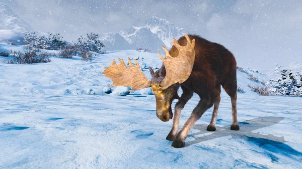 Rendering Moose — Stock Photo, Image