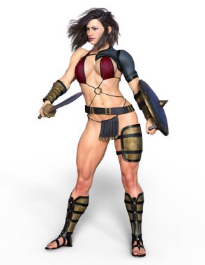 Kadın şövalye / 3d Cg render bir kadın şövalye.