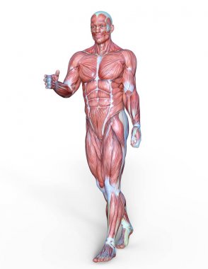 Erkek yatıyordu figürü/3d Cg işleme bir erkek yatıyordu figür.