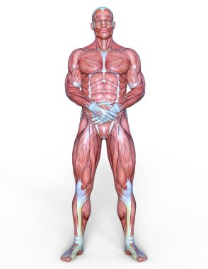 Erkek yatıyordu figürü/3d Cg işleme bir erkek yatıyordu figür.