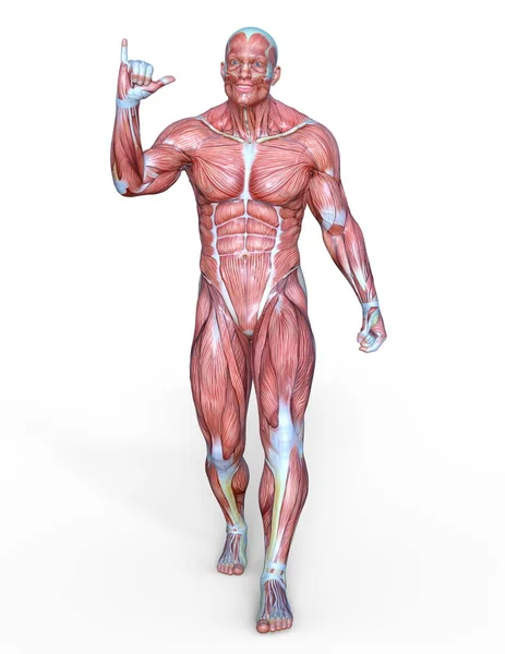 Чоловіча Лежача Фігура Відображення Чоловічої Лежачої Фігури — стокове фото