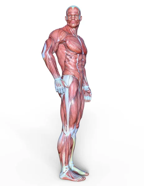 Чоловіча Лежача Фігура Відображення Чоловічої Лежачої Фігури — стокове фото