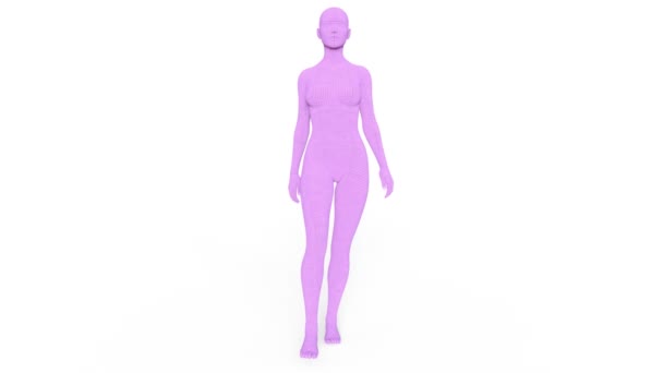 Weiblicher Körper Darstellung Eines Weiblichen Körpers — Stockvideo
