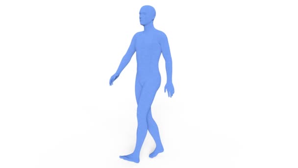 Erkek Vücut Işleme Bir Erkek Vücudunun — Stok video