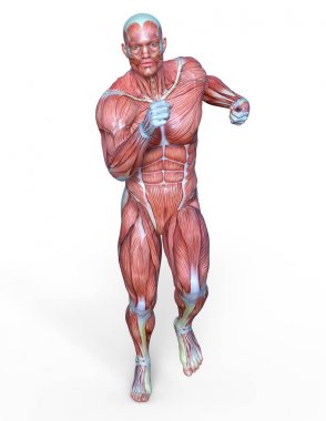 Erkek yatıyordu figürü/3d Cg işleme bir erkek yatıyordu figür.