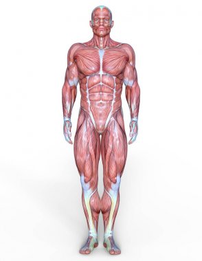 Erkek yatıyordu figürü/3d Cg işleme bir erkek yatıyordu figür.