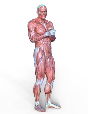 Erkek yatıyordu figürü/3d Cg işleme bir erkek yatıyordu figür.