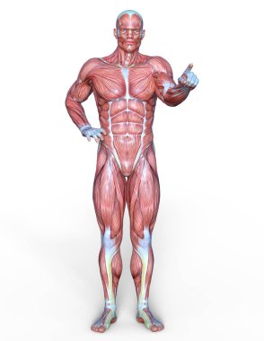 Erkek yatıyordu figürü/3d Cg işleme bir erkek yatıyordu figür.