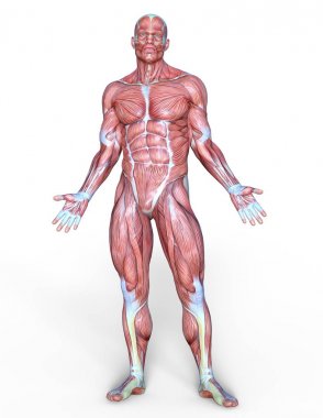 Erkek yatıyordu figürü/3d Cg işleme bir erkek yatıyordu figür.