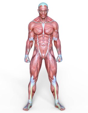 Erkek yatıyordu figürü/3d Cg işleme bir erkek yatıyordu figür.