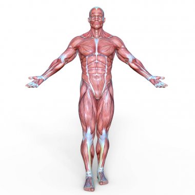 Erkek yatıyordu figürü/3d Cg işleme bir erkek yatıyordu figür.