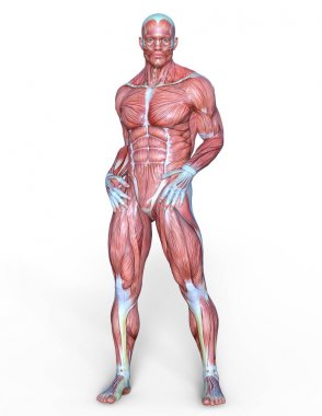 Erkek yatıyordu figürü/3d Cg işleme bir erkek yatıyordu figür.