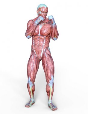 Erkek yatıyordu figürü/3d Cg işleme bir erkek yatıyordu figür.