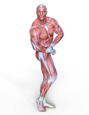 Erkek yatıyordu figürü/3d Cg işleme bir erkek yatıyordu figür.