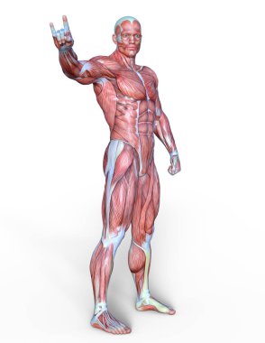 Erkek yatıyordu figürü/3d Cg işleme bir erkek yatıyordu figür.