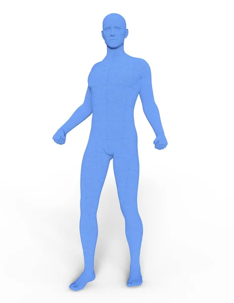 Male Body Rendering Male Body — Stock Photo, Image