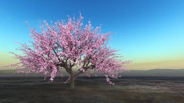 Rendering Sakura Landskap — Stockfoto