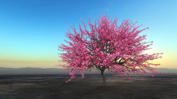 Renderöinti Sakura Maisemia — kuvapankkivalokuva