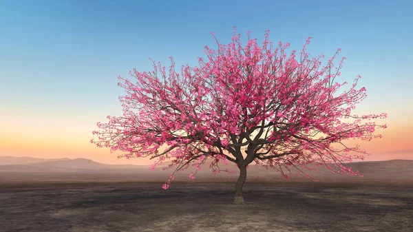 Renderização Paisagem Sakura — Fotografia de Stock