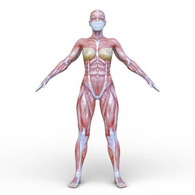 Yüz maskeli kadının 3D CG görüntüsü