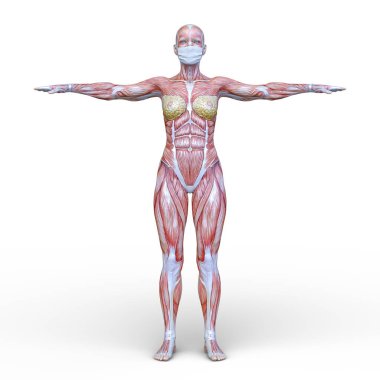 Yüz maskeli kadının 3D CG görüntüsü