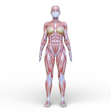 Yüz maskeli kadının 3D CG görüntüsü