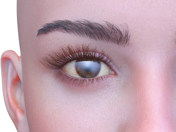女性の目の3D Cgレンダリング — ストック写真