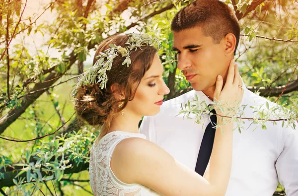 Όμορφο νεαρό ζευγάρι σε ελαιόδεντρα. Γάμος. — Φωτογραφία Αρχείου