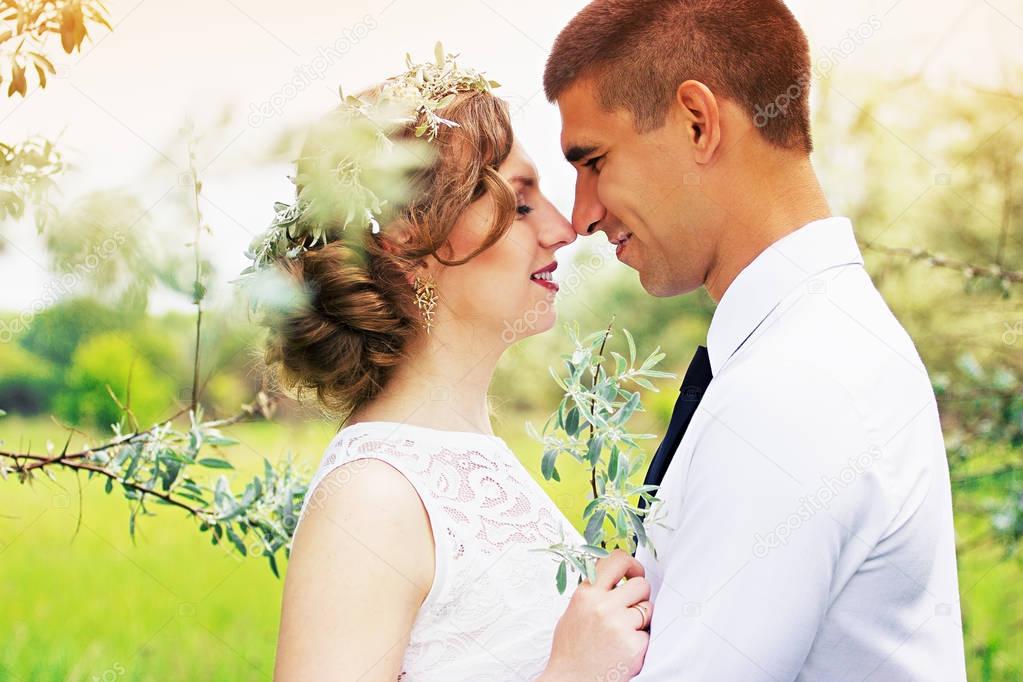 Beautiful young couple in the olive trees. Wedding.