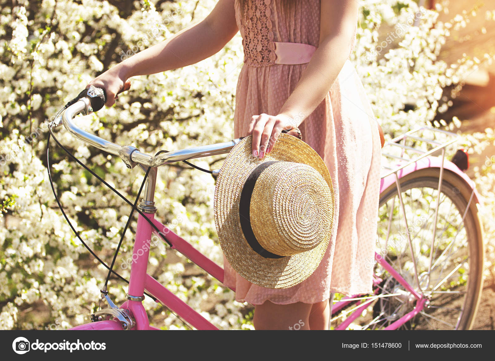 美的概念 年轻貌美的姑娘在粉红色的连衣裙站与复古自行车上花背景的画像 老式自行车概念 图库照片 C Shadskaanna99
