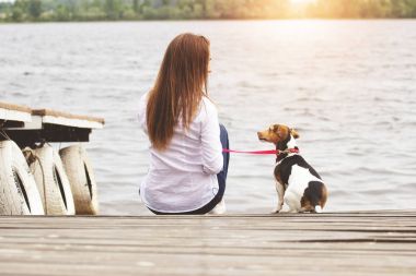 Uzun konuşmalar ile güzel evde beslenen hayvan. Arkadan görünüş güzel genç kadının birbirine köpeğiyle iskelede otururken bakarak casual giyim.