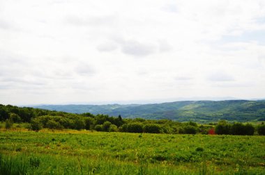 Mavi gökyüzü ve beyaz bulutların altında yeşil bir ormanla kaplı Karpatlar 'ın panoramik manzarası