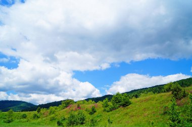 Mavi gökyüzü ve beyaz bulutların altında yeşil bir ormanla kaplı Karpatlar 'ın panoramik manzarası