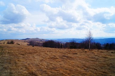 Soğuk gri gökyüzü ve ağır beyaz bulutların altında yaprakları olmayan sonbahar dağlarının manzarası.