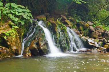 Dağ nehri, güneşli bir bahar gününde yeşil ormanlarla çevrili bir şelaleye akıyor.