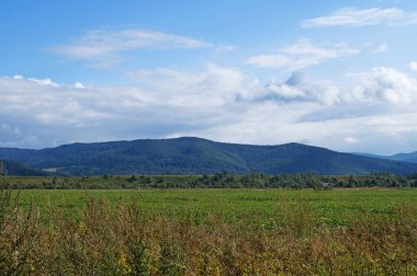 Mavi gökyüzü ve beyaz bulutların altında yeşil bir ormanla kaplı Karpatlar 'ın panoramik manzarası