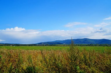 Mavi gökyüzü ve beyaz bulutların altında yeşil bir ormanla kaplı Karpatlar 'ın panoramik manzarası