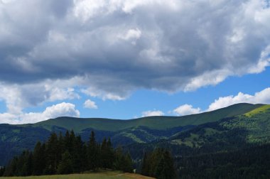 Mavi gökyüzü ve beyaz bulutların altında yeşil bir ormanla kaplı Karpatlar 'ın panoramik manzarası