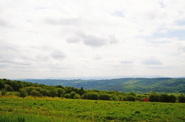 Vista Panorámica Las Montañas Cárpatas Cubiertas Por Bosque Verde Bajo — Foto de Stock