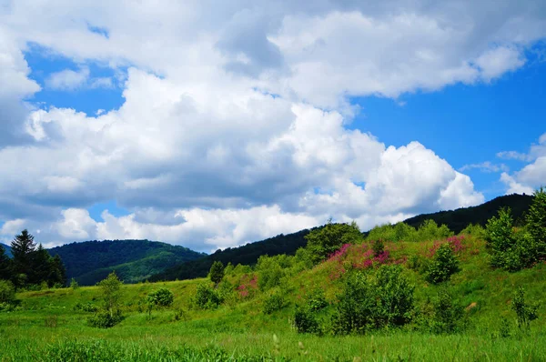Mavi Gökyüzü Beyaz Bulutların Altında Yeşil Bir Ormanla Kaplı Karpatlar — Stok fotoğraf